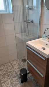 een badkamer met een douche en een wastafel bij Garden cottage Domburg in Domburg