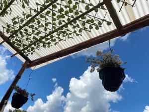 Fotografie z fotogalerie ubytování GLAMPING Y CABAÑAS EL MANÁ v destinaci Nueva Ola