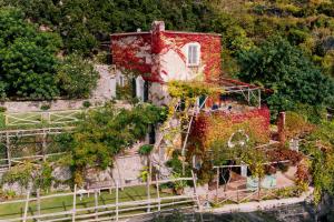 Сад в L'Olearia Luxury Country Villa in Amalfi Coast