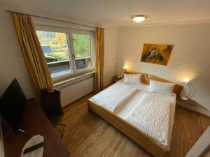 a bedroom with a bed and a large window at Apartment Wildalmblick in Neukirchen am Großvenediger