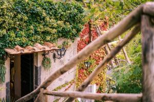 Сад в L'Olearia Luxury Country Villa in Amalfi Coast