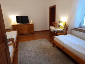 a living room with two beds and a tv at Apartament Jeziorowy in Rydzewo