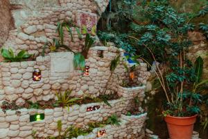 Jardí fora de Nativus Hostel Machu Picchu