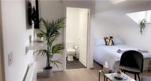 a bedroom with a bed and a plant in it at CityNights Studios with Free Parking in Liverpool