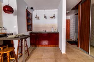 Kuchyňa alebo kuchynka v ubytovaní Krynica Apartamenty Studio Centrum 62 Parking