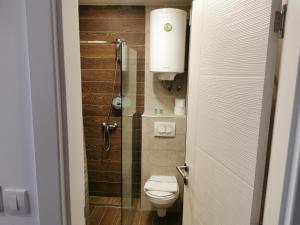 a small bathroom with a toilet and a shower at SkyKop Apartman L21 in Kopaonik +32 photos