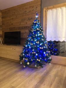Appartamento a due passi da Bormio في فالديسوتو: شجرة عيد الميلاد الزرقاء في غرفة المعيشة