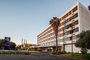 una palmera delante de un edificio en Garden Court Kimberley, en Kimberley