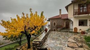 a yellow tree in front of a house at Arcadianis Villa at Psari Trikolonon Gortynia in Psárion