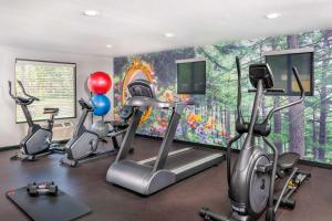 a gym with three exercise bikes and a mural at Best Western Plus Raffles Inn & Suites in Anaheim