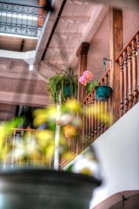 Fotografie z fotogalerie ubytování Land of the Sun Hotel & Spa v destinaci Cotacachi