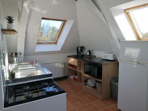 una pequeña cocina con fogones y fregadero en Gîte Saint-Jean-sur-Mayenne, 3 pièces, 4 personnes - FR-1-600-191, en Saint-Jean-sur-Mayenne