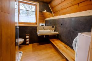 a bathroom with a sink and a toilet in a room at Dom Zako in Zakopane +77 photos