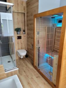 a bathroom with a shower and a toilet at Apartmán Spa Šumava in Zdíkov