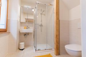 a bathroom with a shower and a toilet and a sink at Guest House Rosemary in Piran