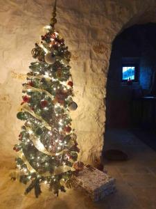 Fotografie z fotogalerie ubytování Trullo Sweet Trullo v Alberobellu