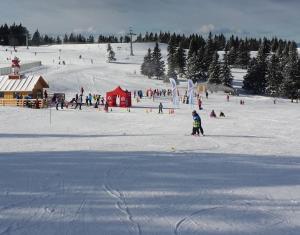 Rogla - Apartma ROŽLE v zimě