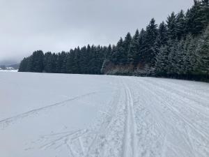 Príroda v okolí apartmánu