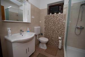 a bathroom with a sink and a toilet and a shower at apartman NOA in Fužine