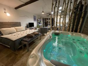 a room with a bed and a jacuzzi tub at Au Havre De Paix sainte victoire vauvenargues in Vauvenargues