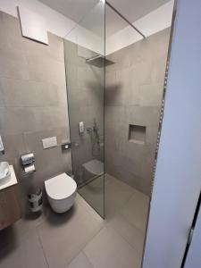 a bathroom with a toilet and a glass shower at Villa Flöckner Bed & Breakfast in Salzburg