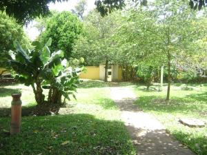 a garden with a small tree and a building at Hotel Arbom in Mogi-Guaçu