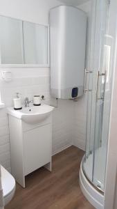 Koupelna v ubytování Ubytování v soukromí - Apartmán MERAN