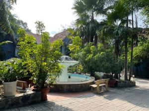 a garden with a fountain in the middle of a yard at Song Tra Hotel in Xóm Phước Mỹ
