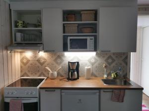 eine Küche mit einer Theke mit einer Spüle und einer Mikrowelle in der Unterkunft Old Finnish lakeside cottage with sauna in Oulu
