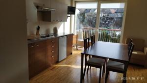 Kuchyňa alebo kuchynka v ubytovaní Zawoja1560 Apartamenty przy Aptece