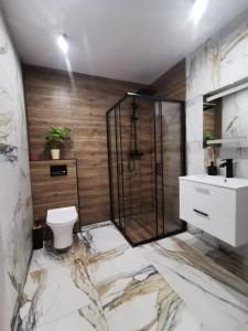 a bathroom with a shower and a toilet and a sink at Na Jedwabnej in Lubawka +10 photos