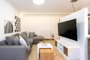 Televízia a/alebo spoločenská miestnosť v ubytovaní Pagrati's best apartment