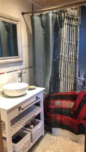 a bathroom with a sink and a shower curtain at Reina Mora, Reserva Patagonica in San Martín de los Andes +41 photos