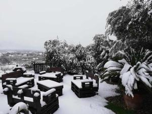 un jardín cubierto de nieve con bancos y plantas en Casa rural la huerta de los nogales en Herrera del Duque