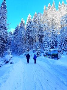 シネヴィルにあるZatishna Khataの雪道を二人歩く