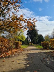 a path in a park with leaves on the ground at Kupferberg - helles und gemütliches Appartement in Uninähe in Mainz