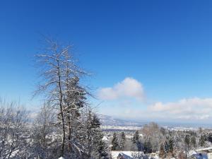 Ferienwohnung Bodenseeblick v zimě