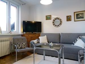 sala de estar con sofá y TV en Apartament BB Źródlana, en Krynica-Zdrój