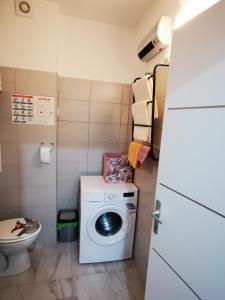 un piccolo bagno con lavatrice e servizi igienici di Ema Studio Apartman a Karlovac