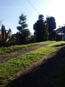 Giardino di Hospedaje el Motilon