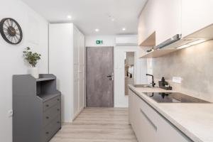 Kuchyň nebo kuchyňský kout v ubytování Apartments Penkala