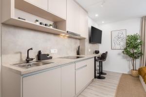 Kuchyň nebo kuchyňský kout v ubytování Apartments Penkala