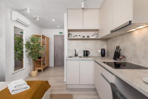 Kuchyň nebo kuchyňský kout v ubytování Apartments Penkala