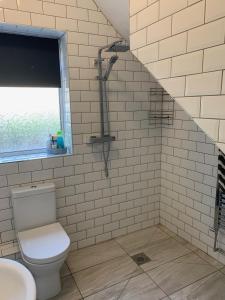 a bathroom with a toilet and a sink at Bedrock Lodge in Bristol