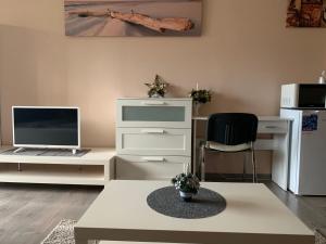 Televízia a/alebo spoločenská miestnosť v ubytovaní Liget Apartment, Terrace, Free Parking, AC