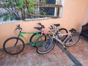 Cycling sa o sa paligid ng Villa Rosetta