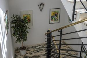 Zdjęcie z galerii obiektu Abanico Appartements w mieście Seefeld in Tirol