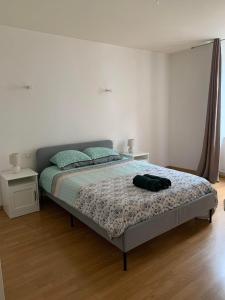 Postel nebo postele na pokoji v ubytování Ravissant Appartement T3 hypercentre de Mazamet