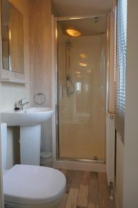 a bathroom with a shower and a toilet and a sink at Plot 8 Lakeside Cabin, Wyldecrest, Millom in Millom
