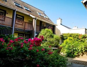 uma casa com flores cor-de-rosa em frente em Galwad y Mor em St. Davids